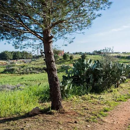 Sicalindee * Zollino